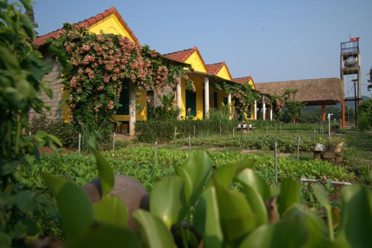 Greenfield Ecostay Φονγκ Να Εξωτερικό φωτογραφία